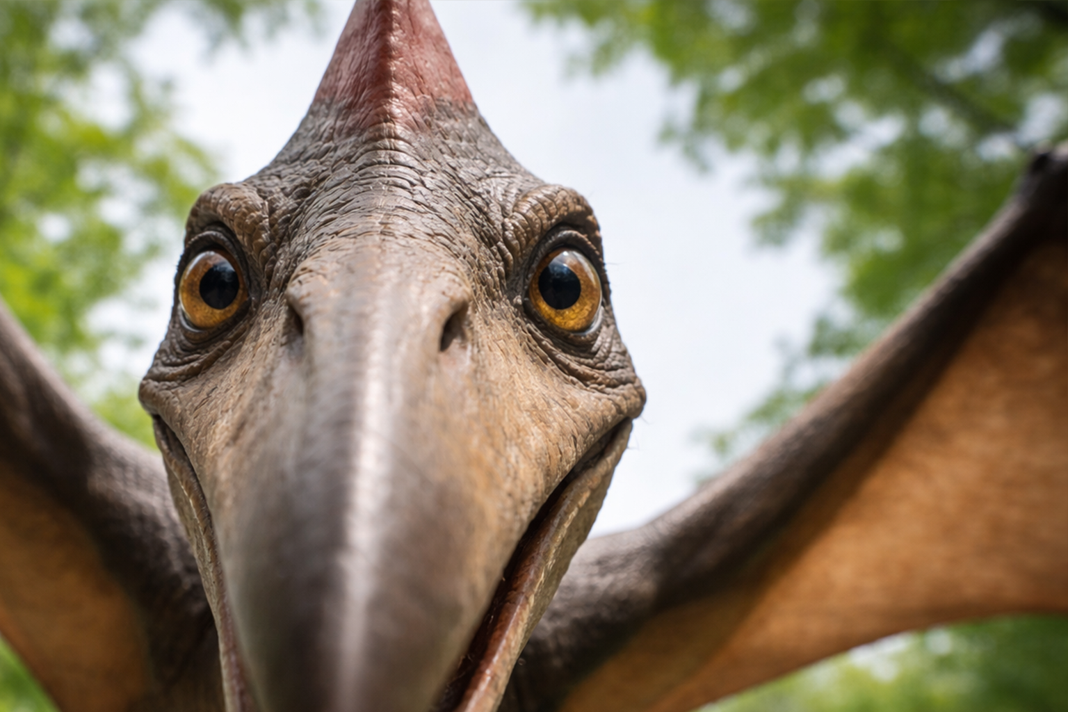 Pterodactyl